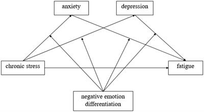 Moderating effect of negative emotion differentiation in chronic stress and fatigue among Chinese employees